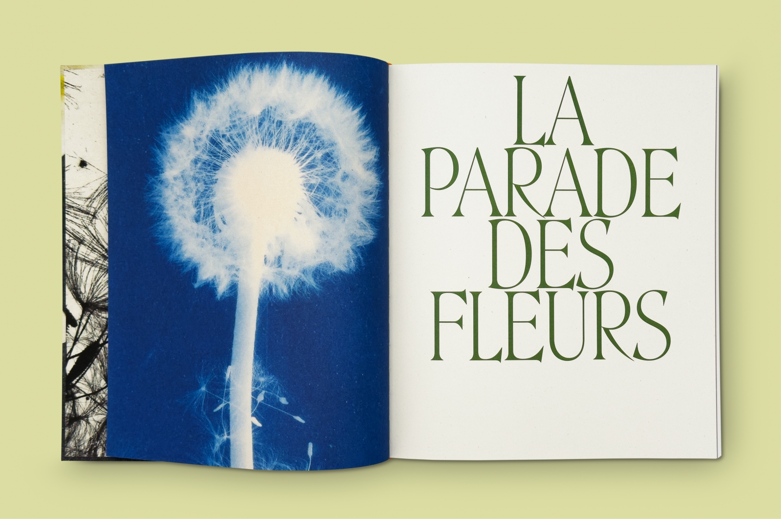 La Parade des fleurs<br>Leçons de peinture