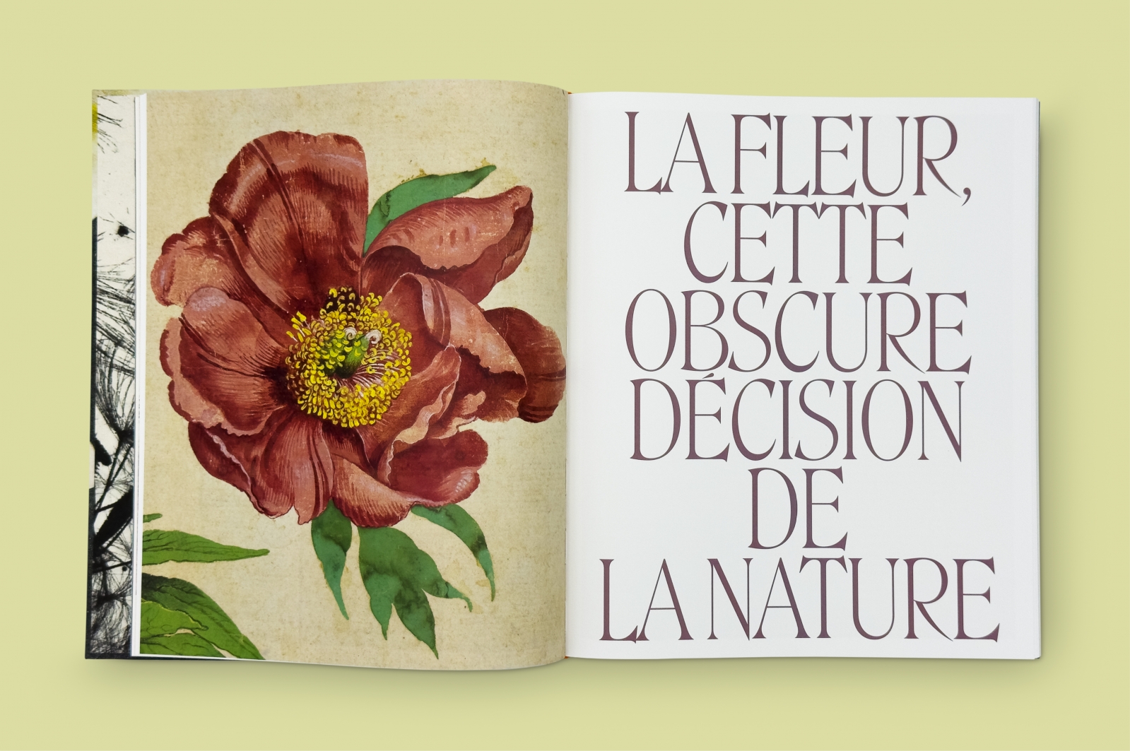 La Parade des fleurs<br>Leçons de peinture